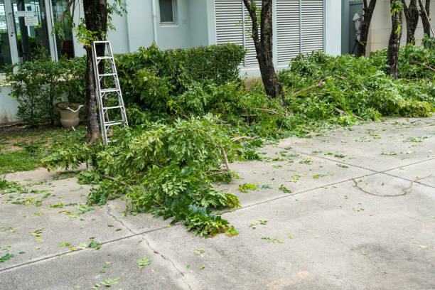 Best Weed Control  in Elkhart, TX